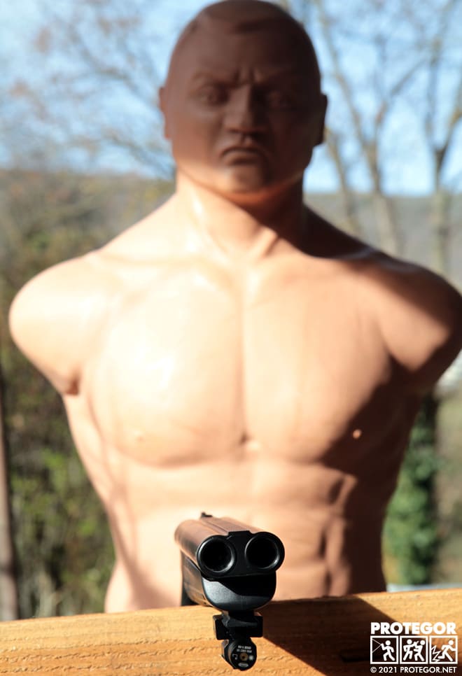 Umarex HDS68 de l'Armurerie Centrale